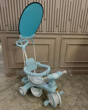 2in1 Transformable Kids Tricycle Scooter WTH Side Supports