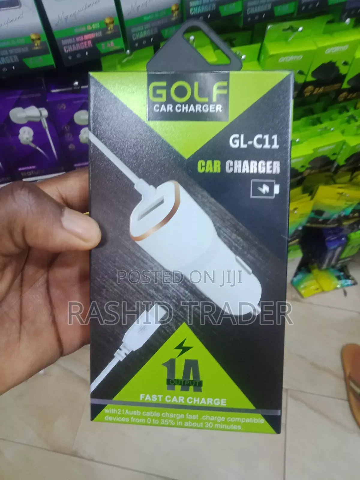 Golf Car Charger