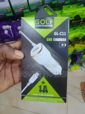 Golf Car Charger