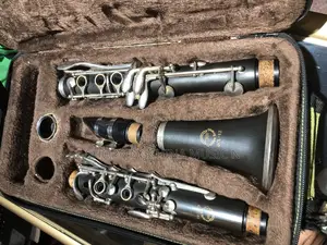 Golden Scarab Clarinet
