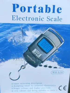 Portable Electronic Weighing Scale