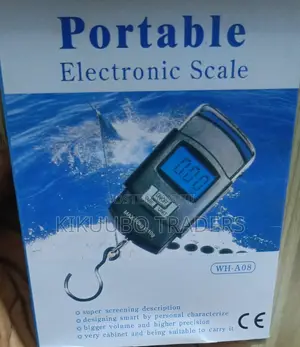 Portable Electronic Weighing Scale