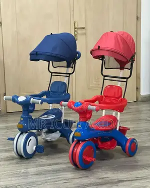 Kids Musical Lights Transformable Tricycle WTH Umbrella