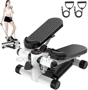 Multifunctional Fitness Twist Stepper