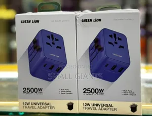 Green Lion 2500W Travel Adapter