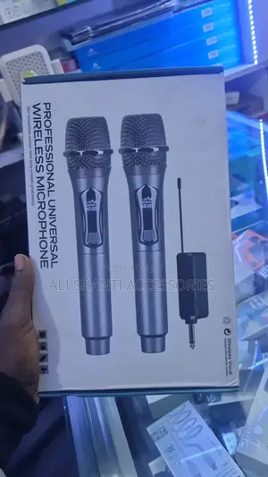 Wireless Microphone/Professional Microphone/Wireless Micro