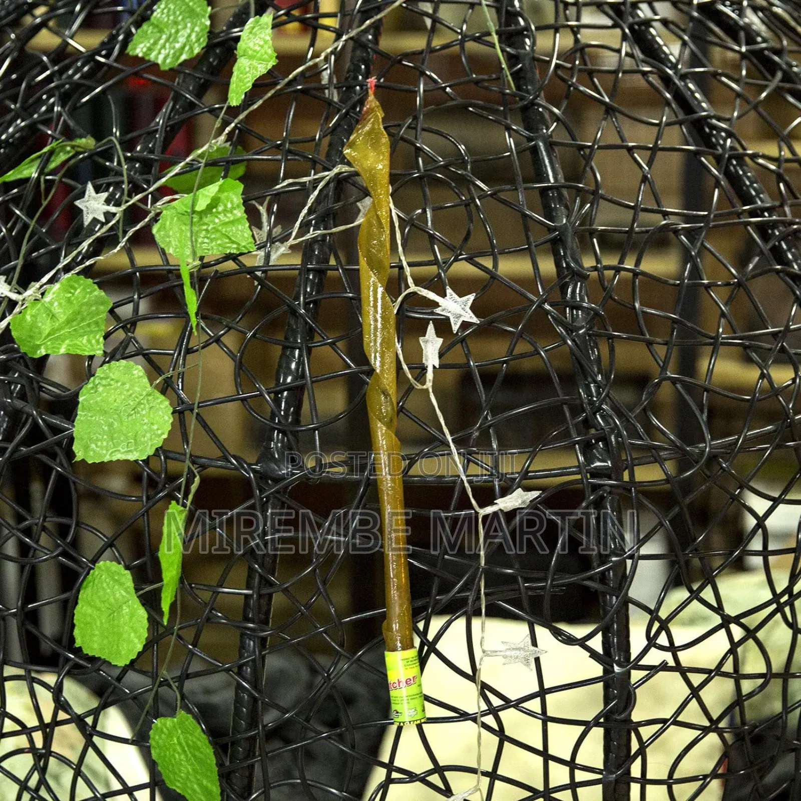 Fly Catcher Trap, Ribbon, Bait (Green)