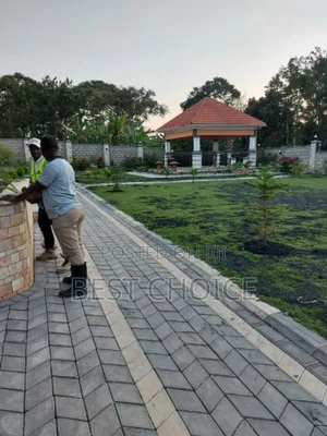 Paver Laying/Strength and Style in Every Paver.