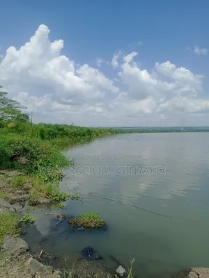 Farmland in Nwoya for Sale