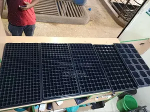 Seedling Trays