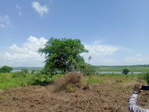 Agriculture Farmland for Sale in Northern Uganda