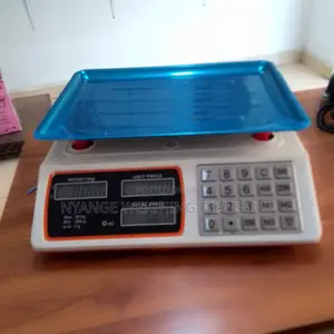 Digital Retail Weigh 40kg Weighing Scale Digital Weighing Scale