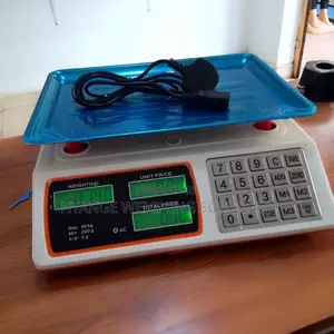 Standard Packing Food Weighing Scale 340kg Digital Weighing Scale
