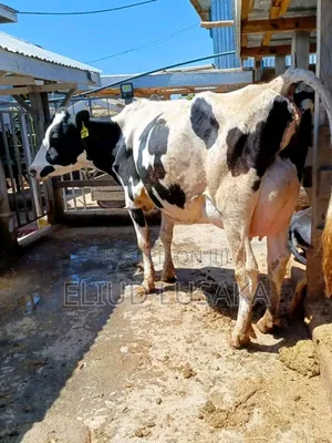 Farm Management