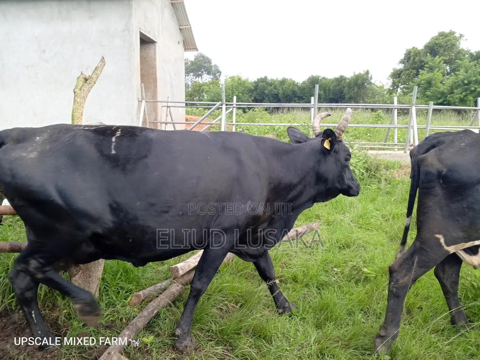 Farm Management