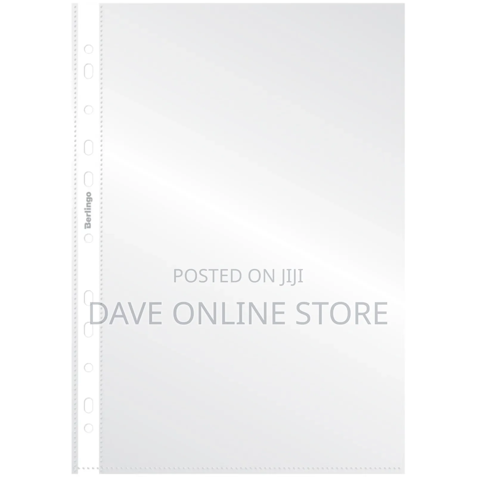 Dolphin A4 Perforated Pocket File, 40 Microns, 100 Pcs.