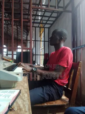 Professional Instrumentalist