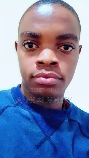 Accountant