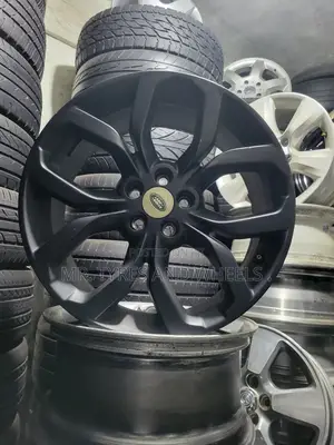 Let Ur Rover Be Smarter.Its Size 19 in Color Black So Nice.