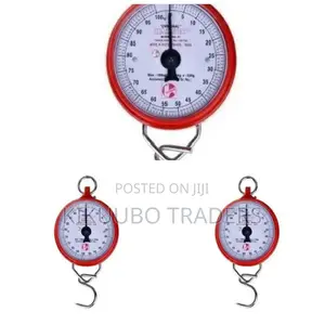 Hanson 100kg Hanging Weighing Scale