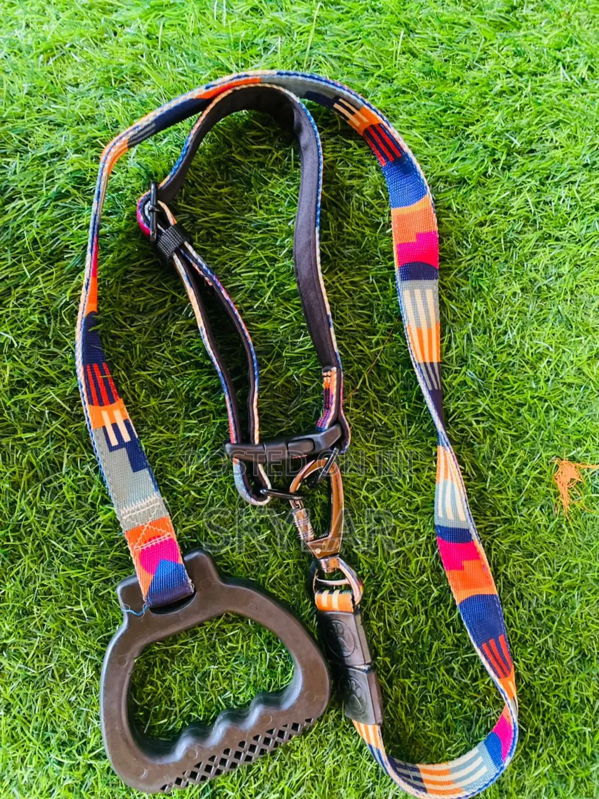 Collars and Leashes