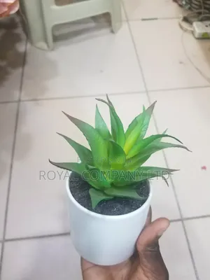 Artificial Flowers /Artificial Aloe Vera Plant