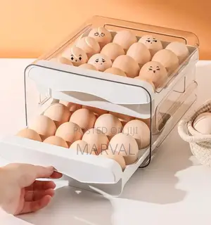 Double Layer Egg Tray for 32eggs