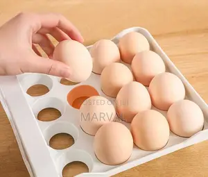 Double Layer Egg Tray for 32eggs