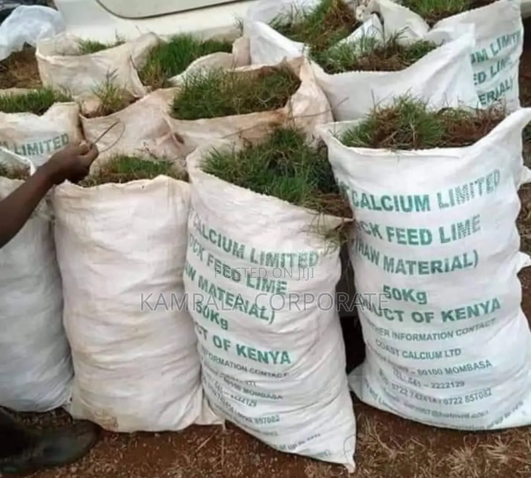 Natural Grass for Compound Free Planting