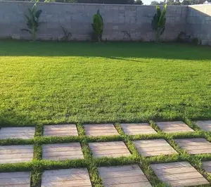Natural Grass for Compound Free Planting