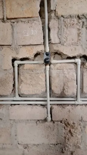 Master Plumbing