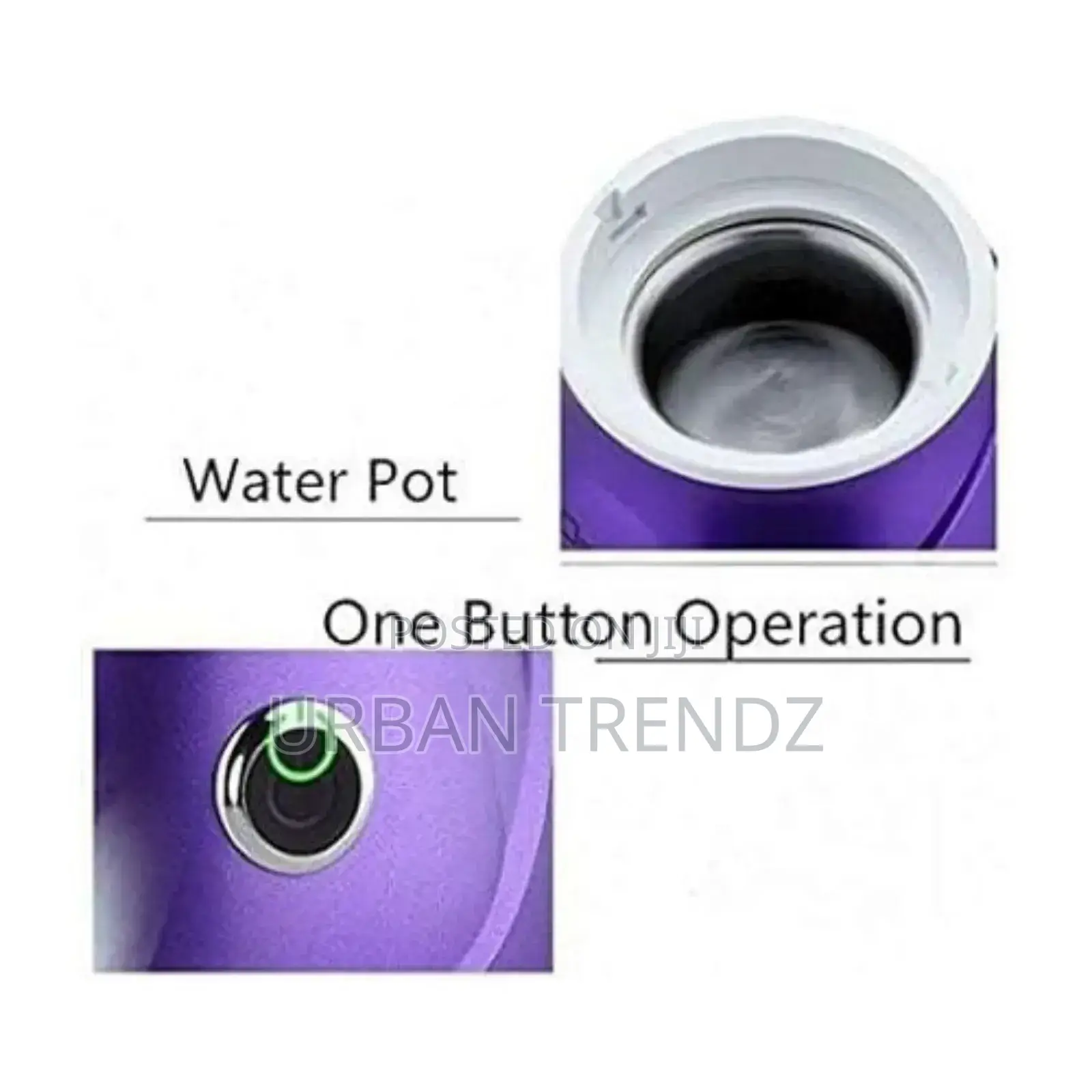 Electric Facial Ionic Steamer -Multicolour