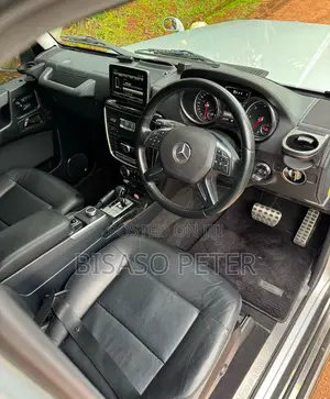 Mercedes-Benz G-Class G 350 d 2018 Silver