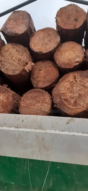 Timbers