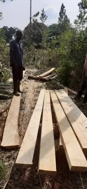 Timbers