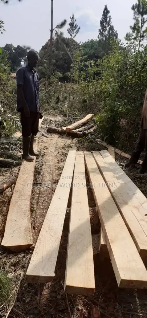 Timbers
