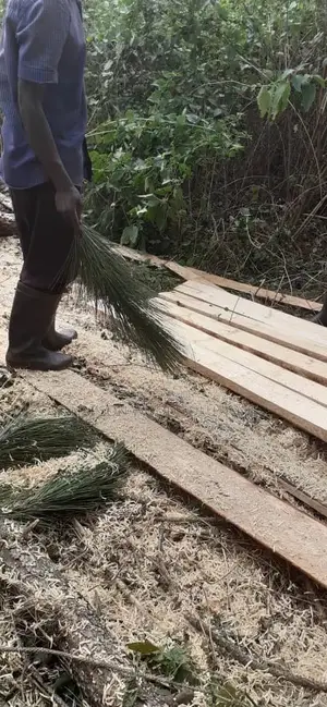 Timbers
