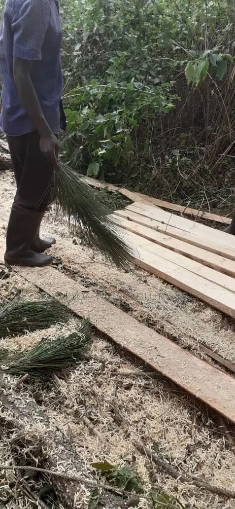 Timbers