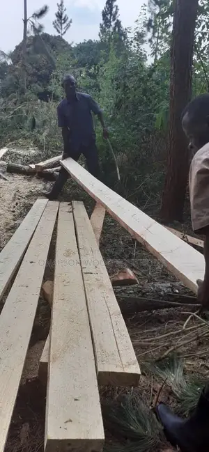 Timbers