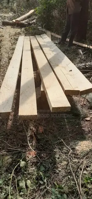 Timbers