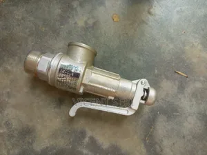 Stainless Steel Safety Valve