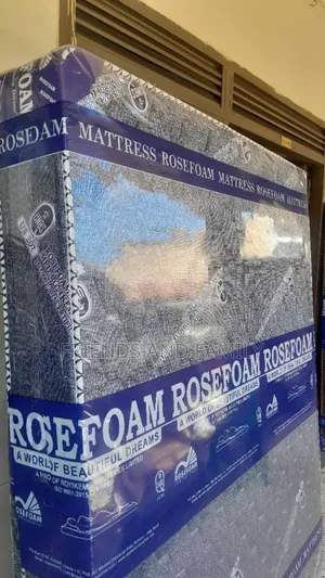 Rose Foam Dulex 6*5*8.Inches