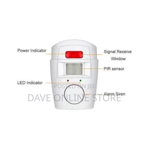 Wireless Remote Controlled PIR Mini Alarm