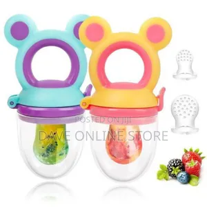 Baby Fruit Food Feeder Silicone Pacifier