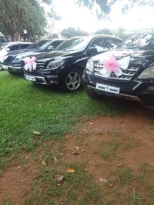 Wedding Cars for Rental