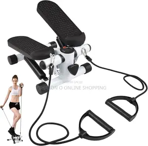 2 in 1 Mini Stepper