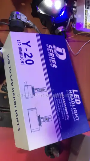 D2 LED Bulbs