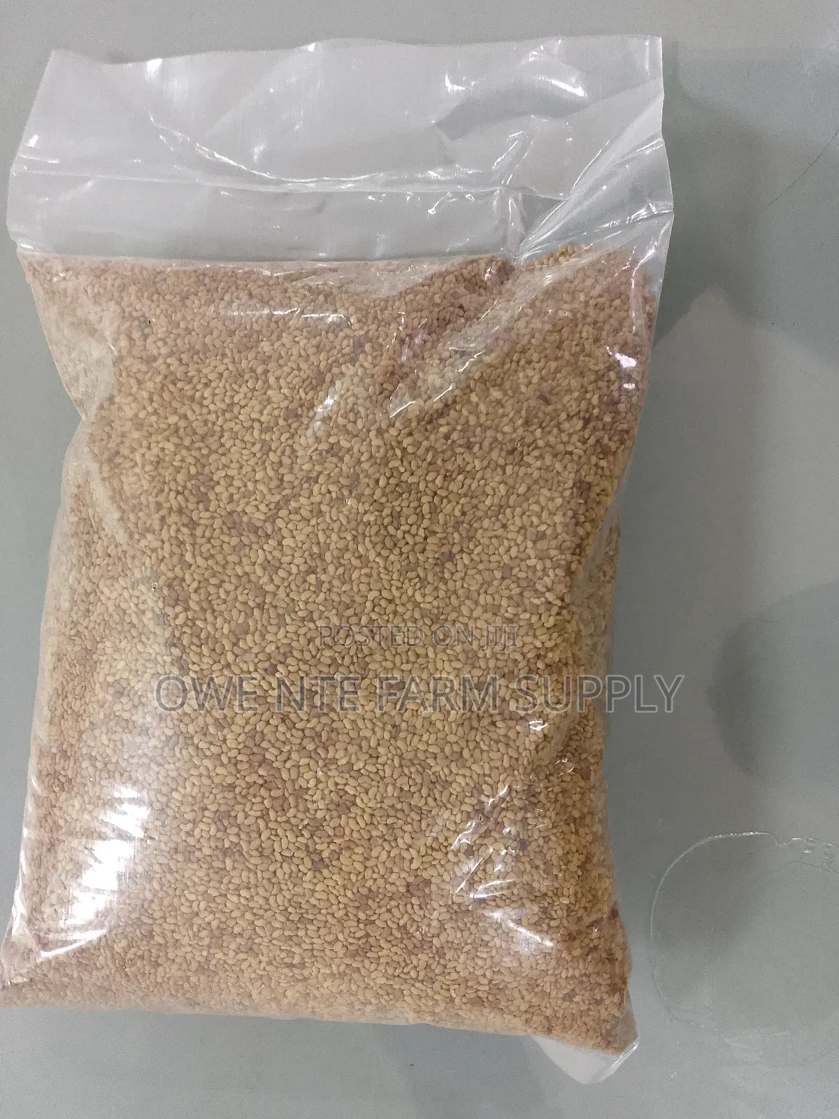Lucerne Alfafa