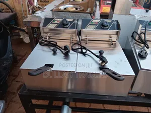 Deep Fryers for Chips, Chicken and Others Double 12L