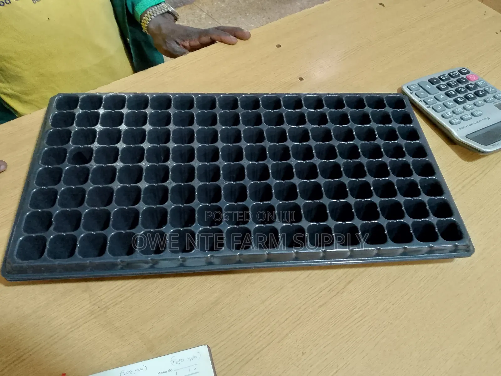 Seedling Trays